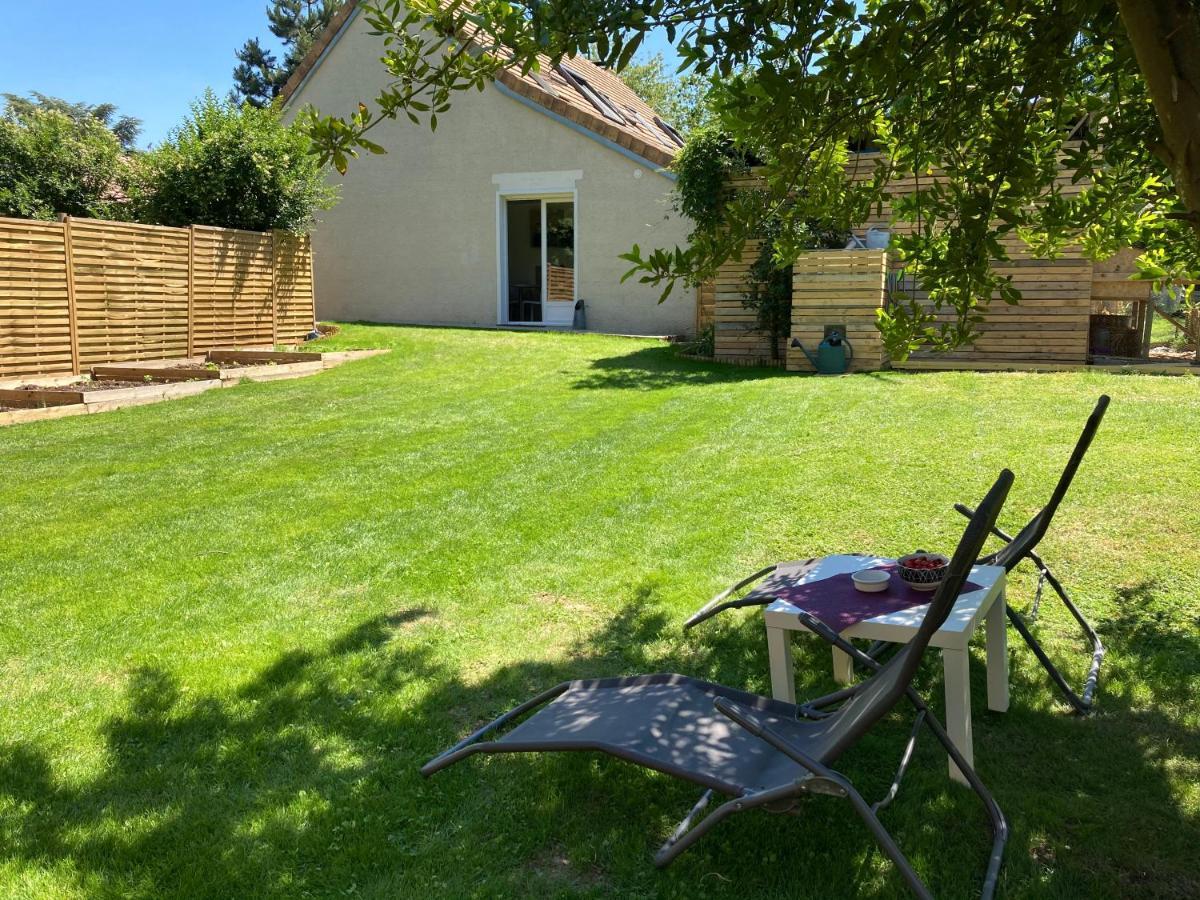 Apartment Le Petit Nid De Chessy (Seine-et-Marne)
